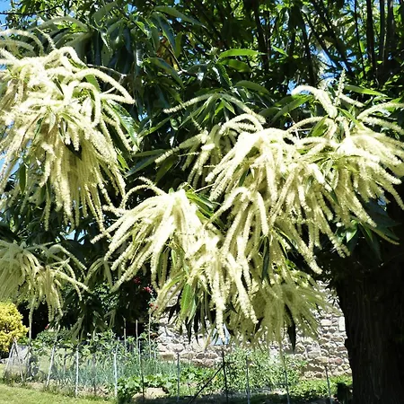 La Clede De Monery בית נופש *